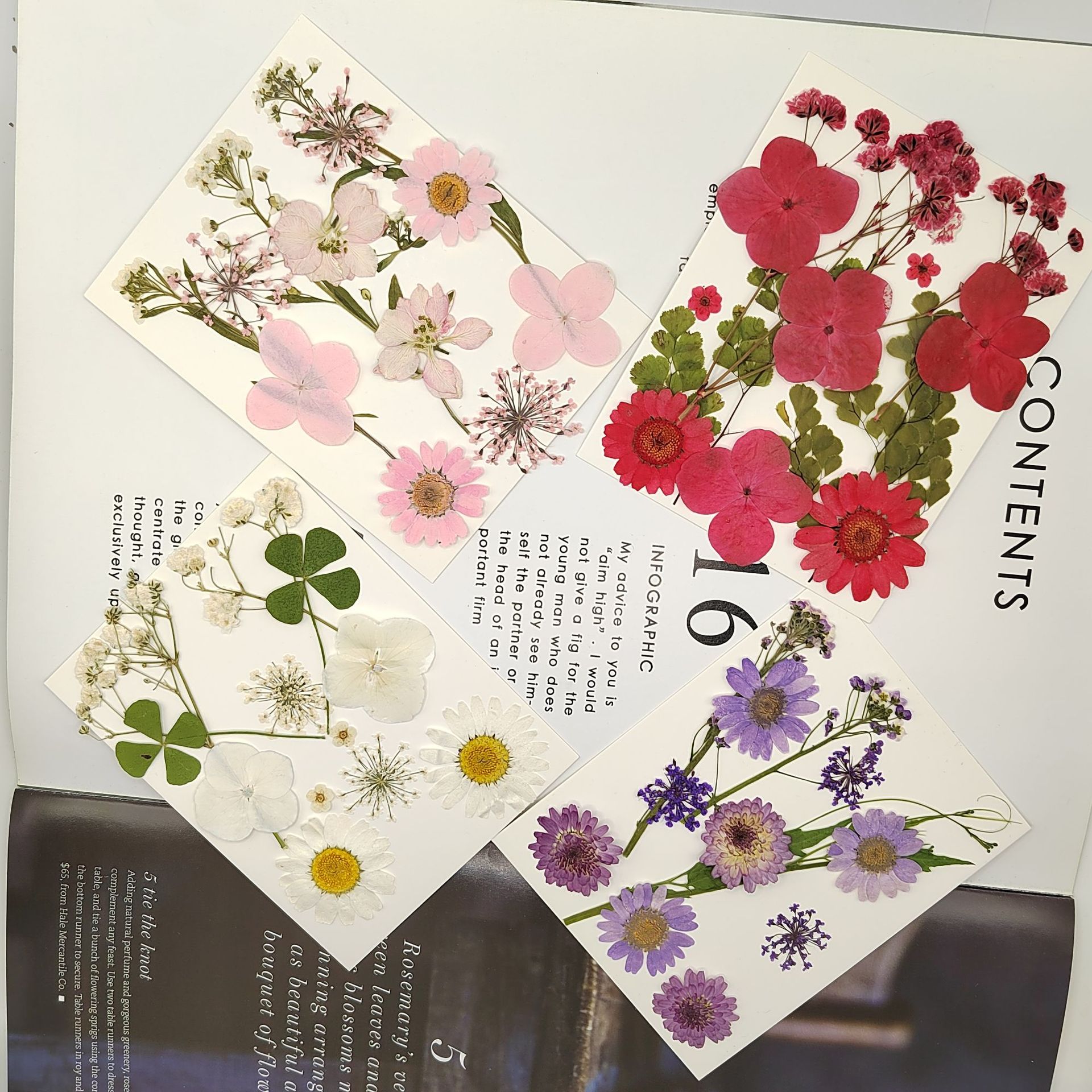 微信图片_20230720201911