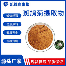 斑鸠菊提取物斑鸠菊粉斑鸠菊浸膏斑鸠菊浓缩液现货供应