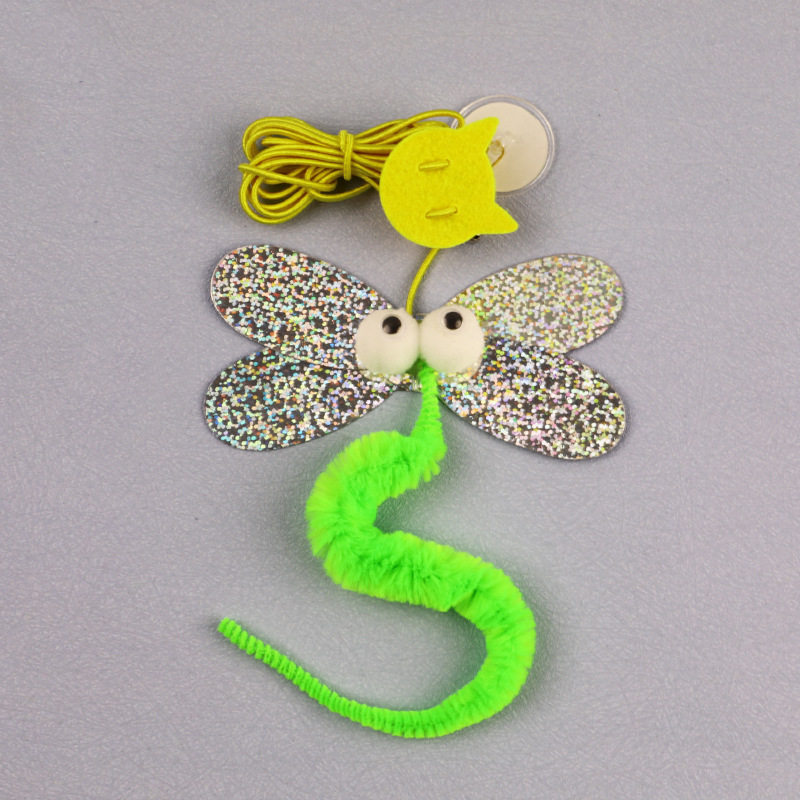 다채로운 잠자리