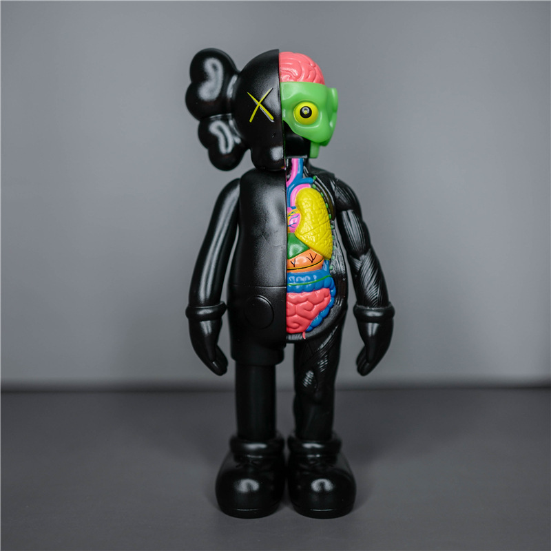 半解剖黑-20cm