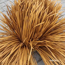 ������é���߼ٵ�����������ë�ݷ�����ȼ���Ñ���¹�����b�