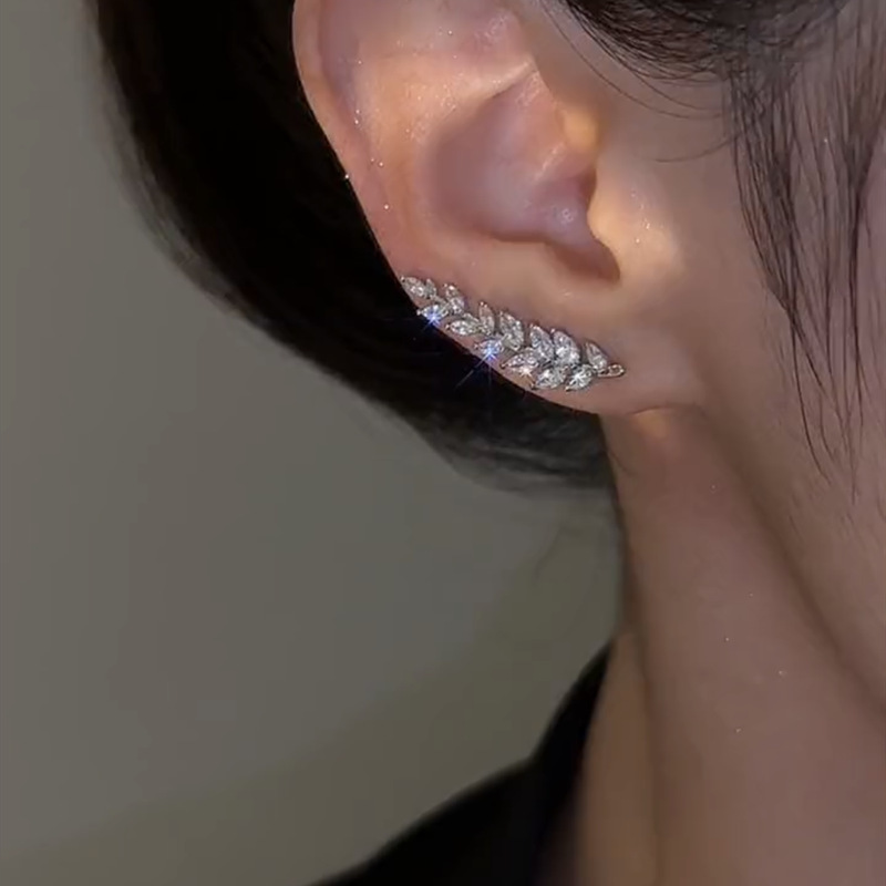 QQ圖片20230606131559