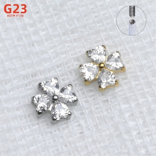 G23⁺Ͻ����~�ݴ���ƷŮ�W���羳���w��������Ʒ�^������l