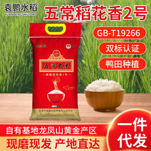 2025�������l�|�������峣���׵�����2̖���ﵾ���B���׏S�����l