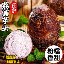 荔浦芋头新鲜农家香芋广西特产槟榔芋当季蔬菜毛芋紫藤芋