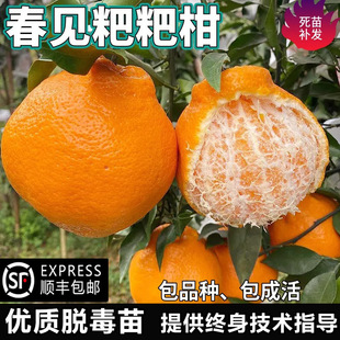 ��Ҋ���θ�����ϱ������Լ޽��������Խ��Ә����ļ����ٮ���Y��