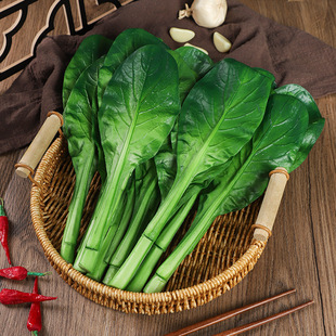 ������ķ����߲�ˮ����߹Ϲ��b�ģ�̓�ͯ�J֪���߲˰��]�[�O