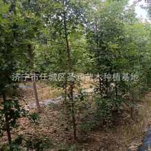 ��Ǘ����̾G����ľ�L���䅲����Ǘ�����1-15������Ǘ�Ԫ����