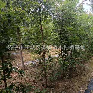 ��Ǘ����̾G����ľ�L���䅲����Ǘ�����1-15������Ǘ�Ԫ����