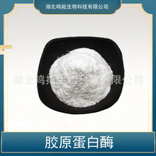 胶原蛋白酶 动物蛋白酶 胶原蛋白水解酶 原料