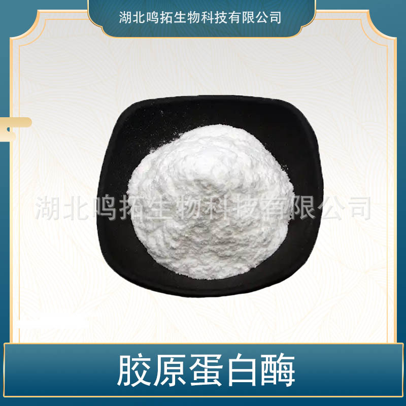 胶原蛋白酶 动物蛋白酶 胶原蛋白水解酶 原料