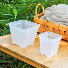 �nʽ����͸��С����Ӻ�˽���С����������м��бP����Gֲ����