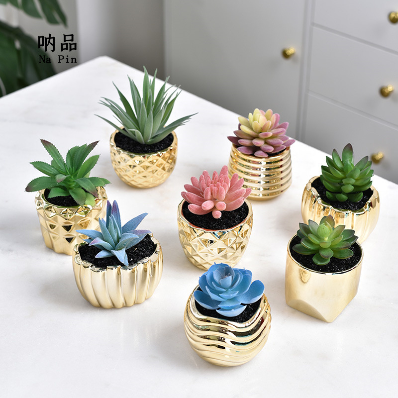 Maceta suculenta de cerámica con baño dorado, estilo fruta