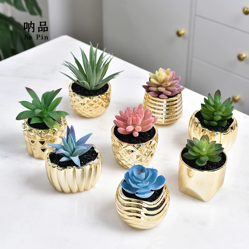 Na Pin позолоченный Новый фруктовый керамический цветочный горшок для суккулентов Внешняя торговля Экспорт трансграничный цветочный горшок