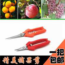 6E3X�ɹ������Ѹ��ٽ��Ӽ�����֦���޻�ժ�������Ӽ��ù����߹���