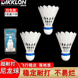 帝咔龙夜光羽毛球鸭毛鹅毛训练耐打超市百货LED发光现货专业荧光