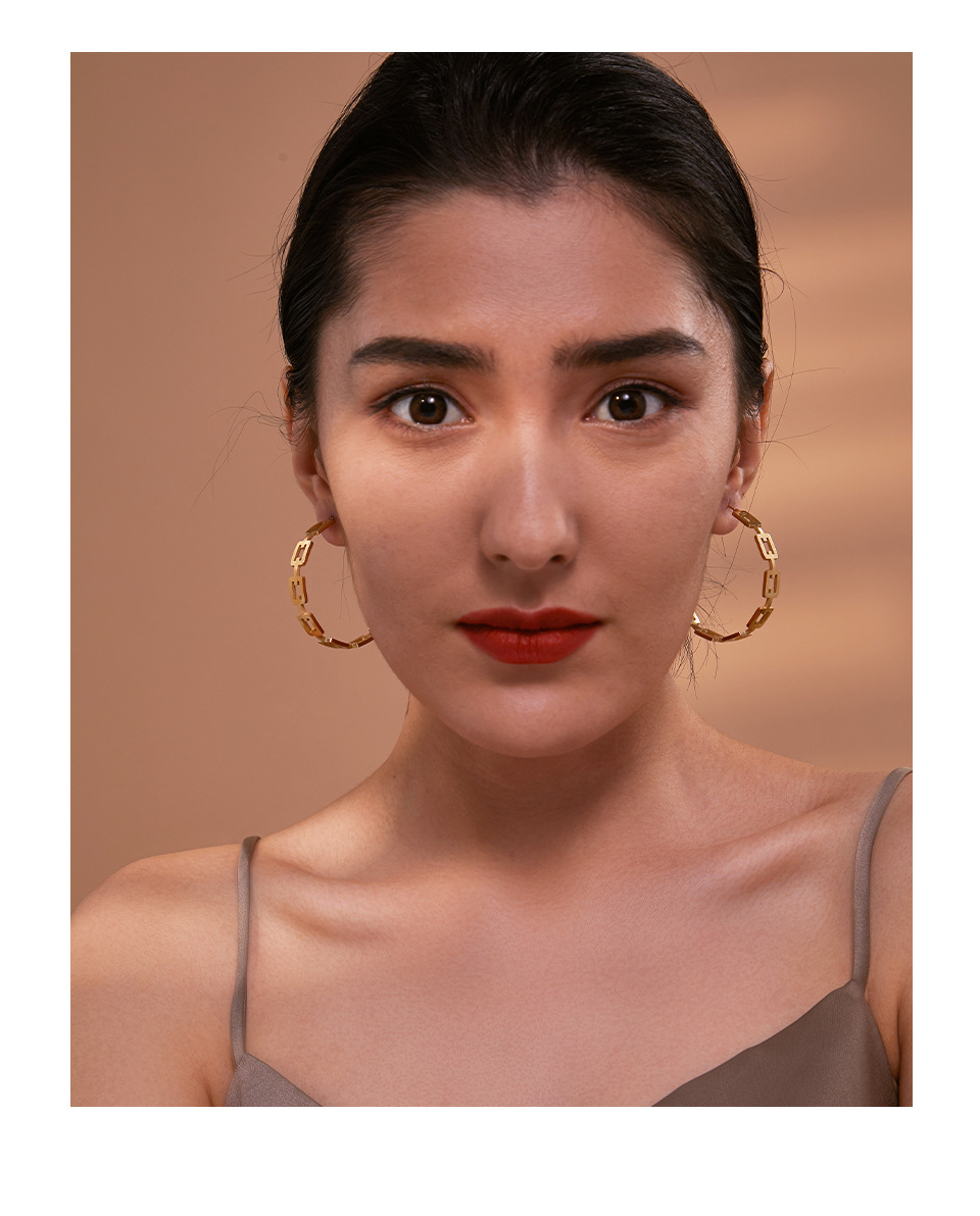 Simple Style Geometric Titanium Steel Plating Earrings 1 Pair