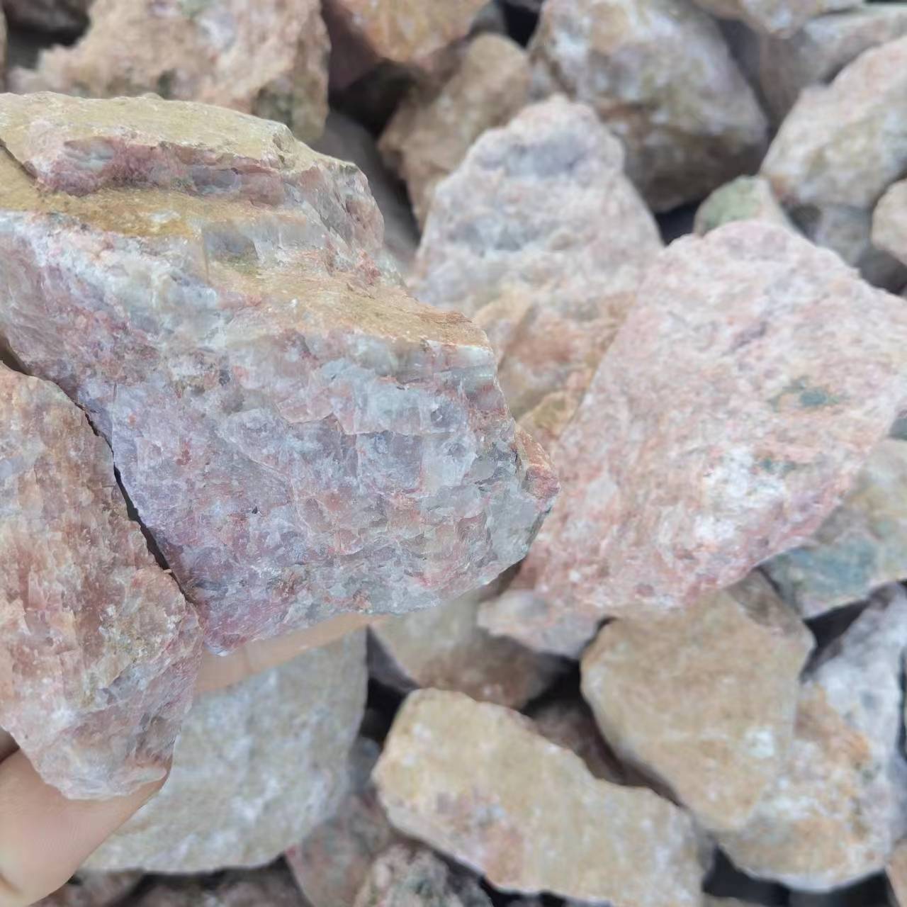 微信图片_20240228100123