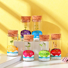 ��������ֲ������С�W����Ʒ����ƿ�Gֲ�׃��@diy�lѿ�NֲС����