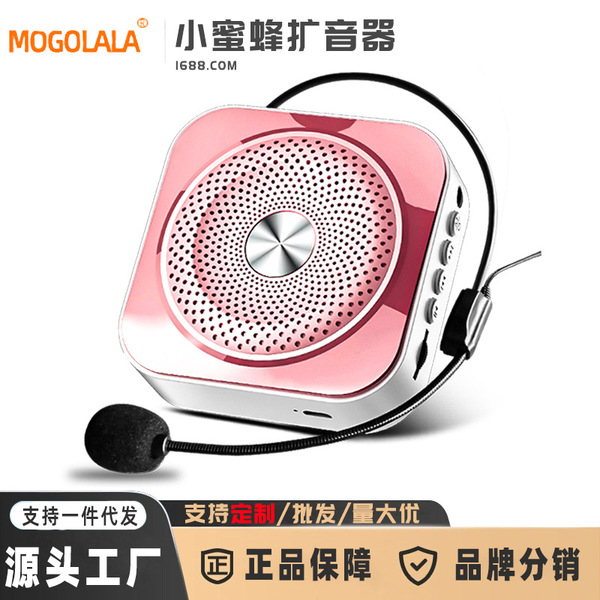 The new loudspeaker portable teacher lecture protective voices