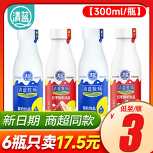 清蓝酸奶原味红枣味300ml*15瓶整箱学生儿童早餐饮品新日期批发