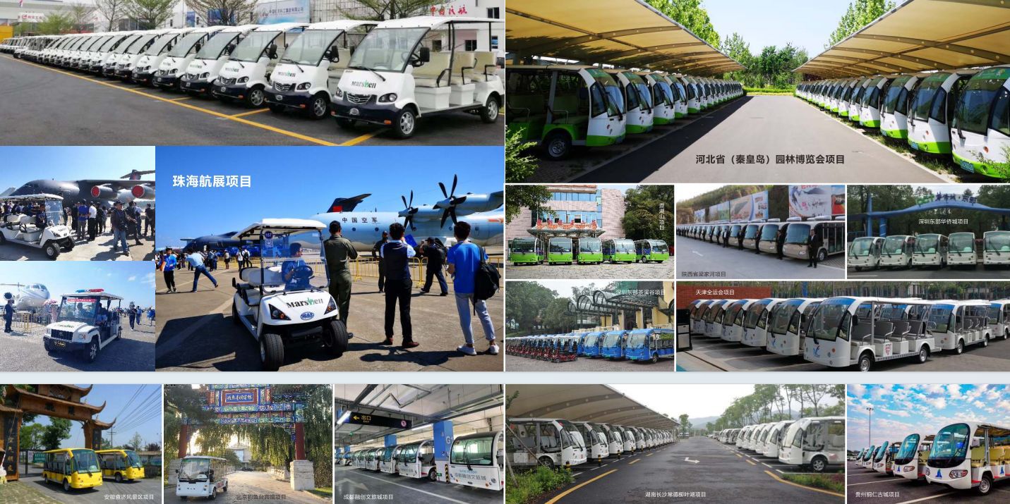 Masel Dg-C4+2-8 Golf Cart Scenic Spot Green Travel Sales Department Room Electric Sightseeing Car