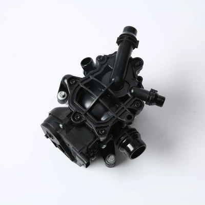 Manager Thermostat Constant, Thermostat
