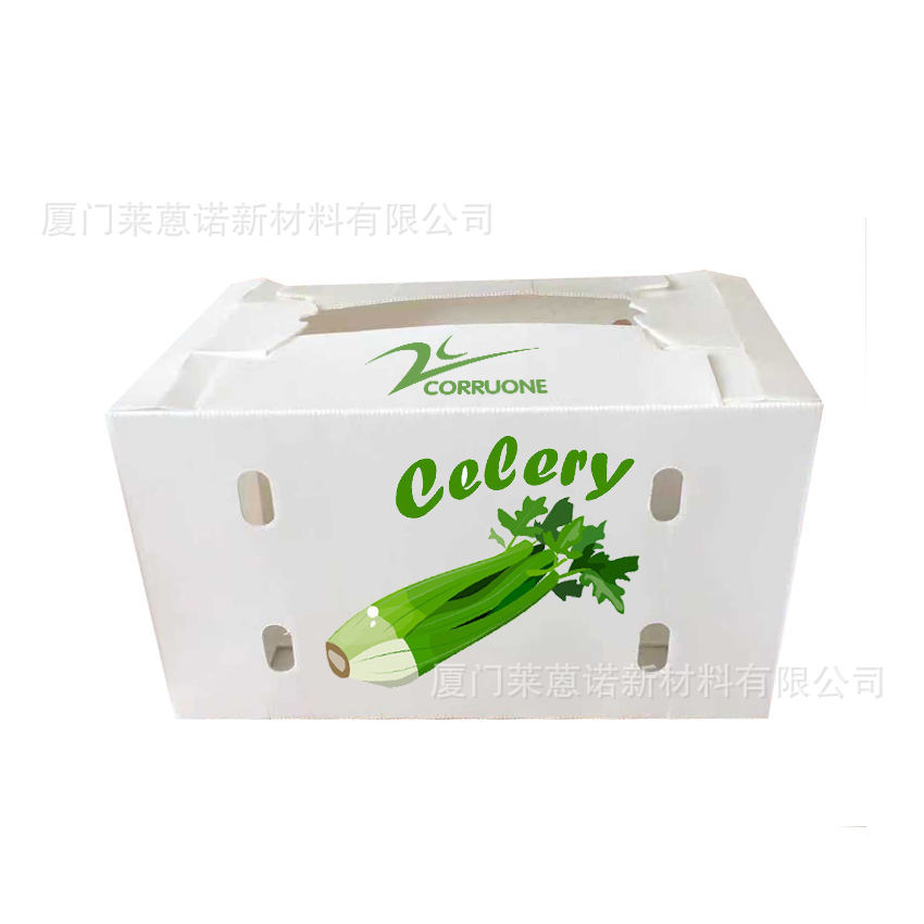 Caja de frutas y verduras de placa hueca pp personalizada plegable impermeable frutas y verduras frescas de transporte de cadena de frío Caja de plástico de calcio image 14