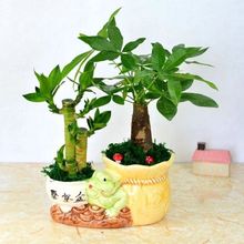�lؔ�主�F�����մ���lؔ�����Ժɻ����k���҃��ļ�����Gֲ����