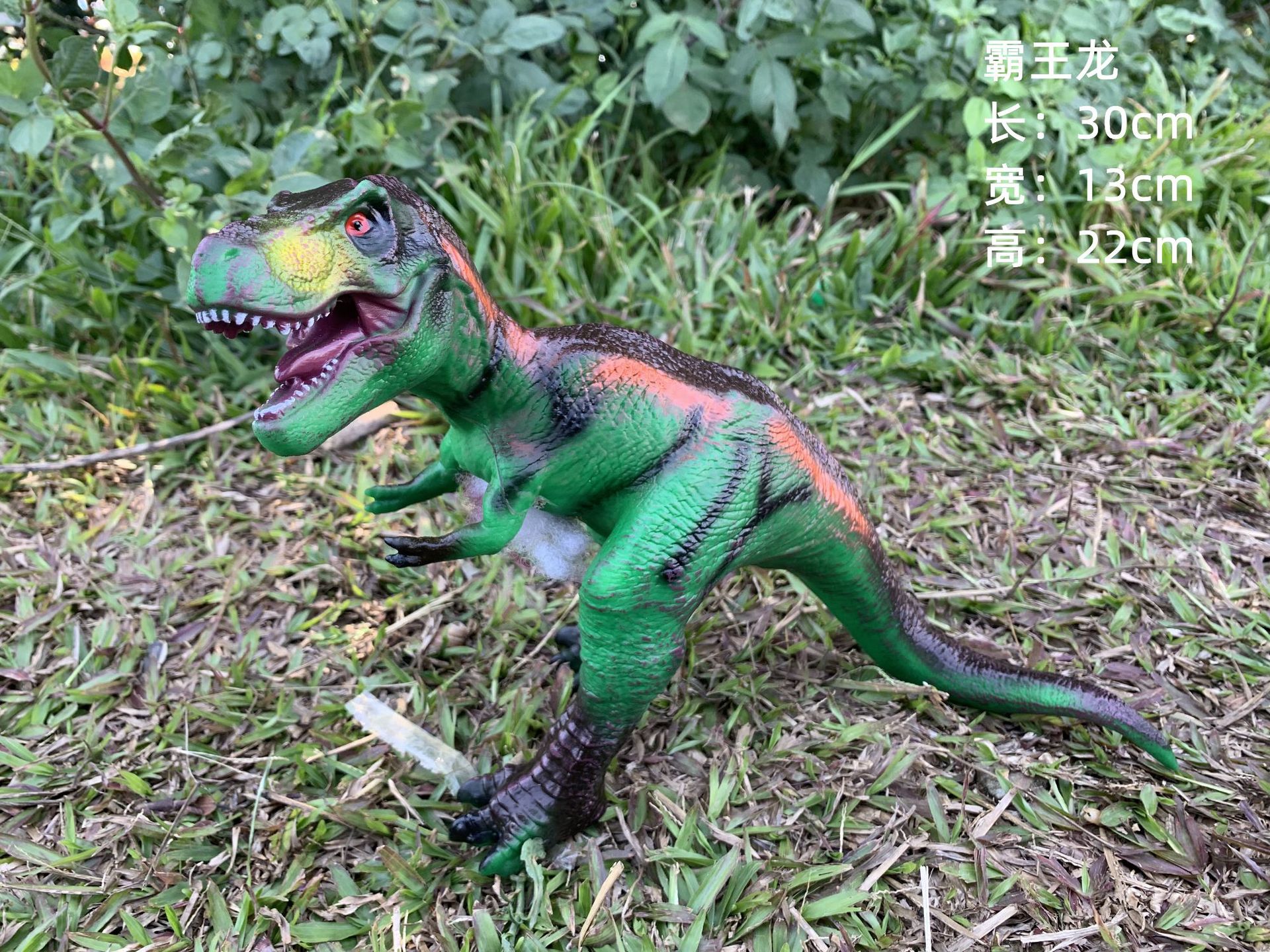 New Chinese Tyrannosaurus Dragon Green