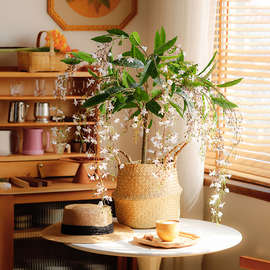 森空间绿植装饰垂丝茉莉假花植物室内客厅轻奢氛围感软装搭配