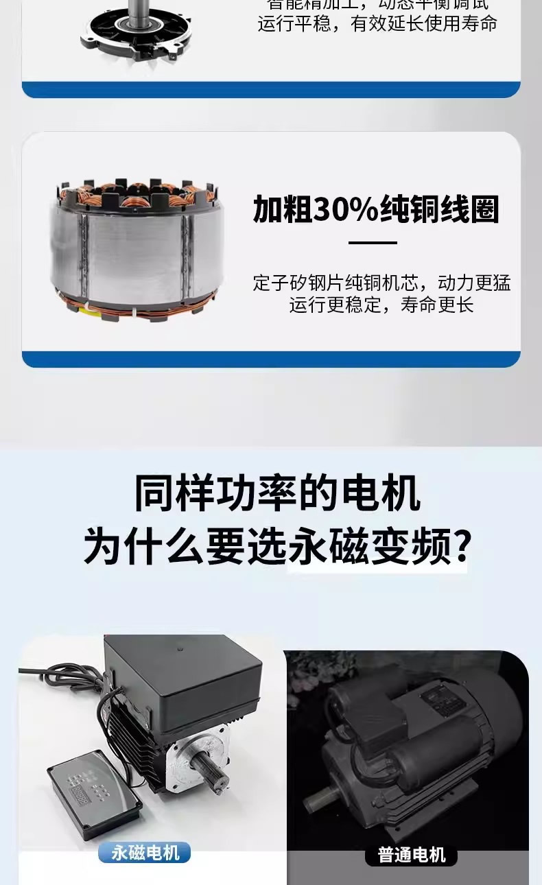 Portable Permanent Magnet Variable Frequency Car Washing Machine with Stainless Steel Pump Head, High-Pressure Oil Fume Pipe Cleaning Machine, Household and Commercial Car Washing Pump