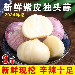 �ش������r����Ƥ���^�����r����������^5��ְ���ɰ��]