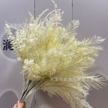 Ⱦɫ���滨�װ�ɫϵ�����ϻ���c���ŵ�픻��ľƵ�Ӱ�ǔzӰ�ٻ�