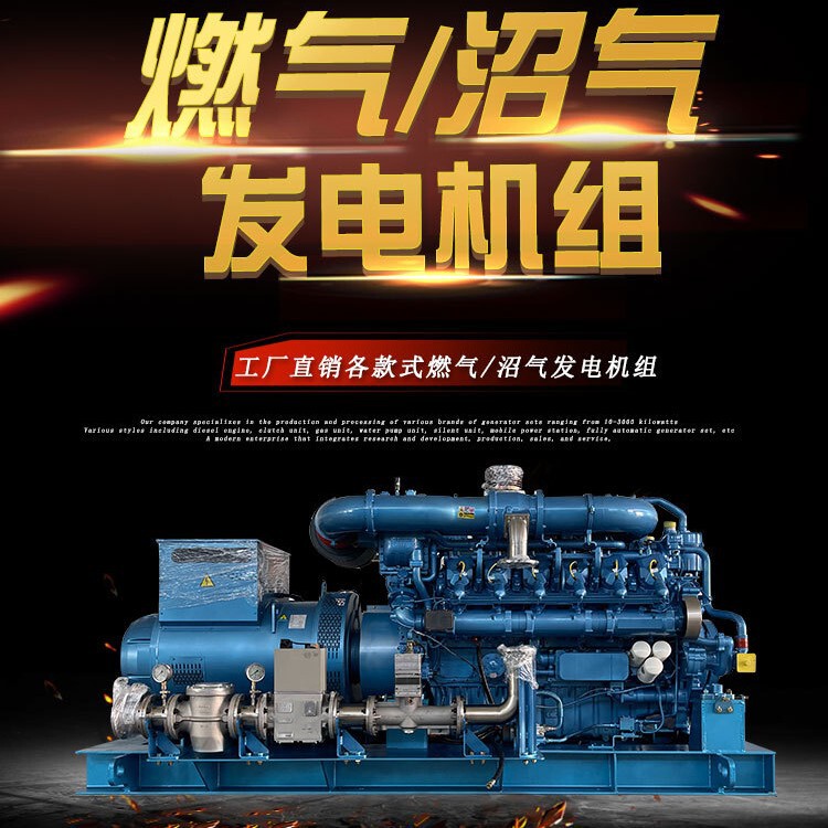 バイオガス天然ガス発電ユニット30/50/100/150/200/300ガス発電機|undefined