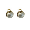 Advanced fashionable small design elegant earrings, high-quality style, light luxury style, Korean style, internet celebrity