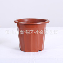 ���ϻ������lE�ͽ���@�����Ի��طNֲ��tɫӲ�|������һ������