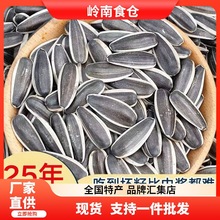 一件代发生瓜子干净饱满特大整箱5斤袋装25年新鲜生瓜子原味