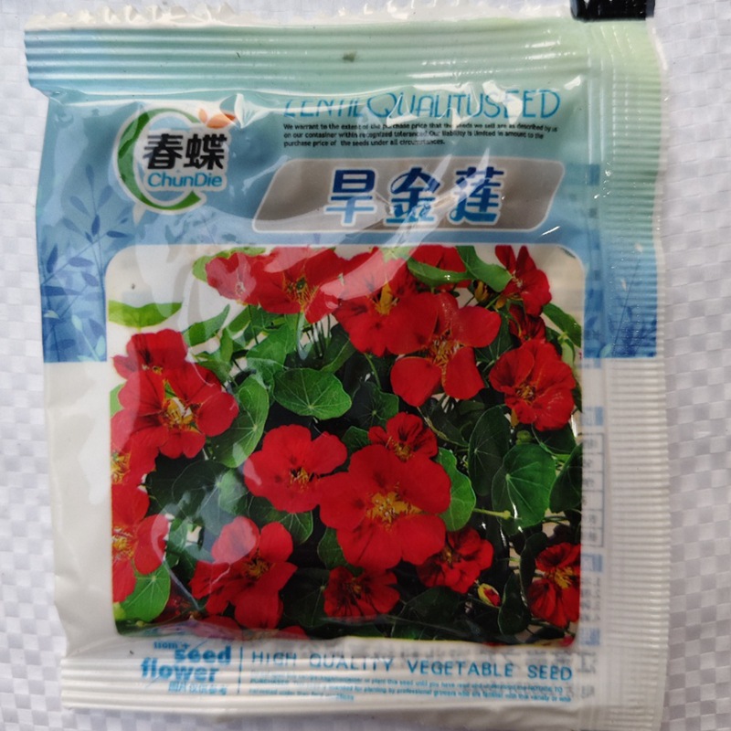 旱金莲种子
