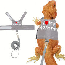 R 36906 Reptile night light harness ����ҹ��ǣ�����羳��