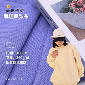秋季260G菠萝纹面料 棉涤颗粒感布料 肌理感双面玉米粒提花针织布