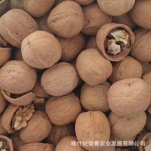 �½��¶����Ұ����K������2���ҿ�ˮϴ����