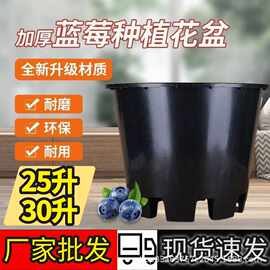 蓝莓盆30升大口径透气控根大花盆草莓盆加厚蓝莓盆月季花盆果树盆