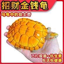 ���X�𾀞����~�׺��~���B���͏d��ˮ�\ˮ���B�������������