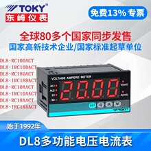 东崎DL8-RC10(18)DACT直流电流表DL8-IRC10(18)DACT两路报警TOKY
