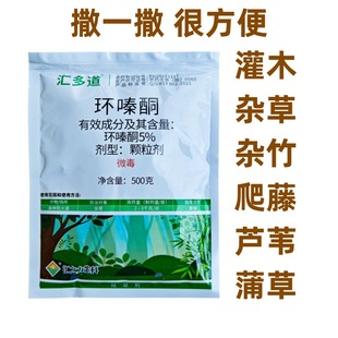 �h�ͪ�w�����Ž���ľ�����Ѳ��w���ͳ��݄���ʩ�ͳ��݄���������