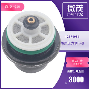 17113203 fuel pressure regulator 12574986 suitable for Chevrolet PR217 Guangzhou Auto Parts Amazon