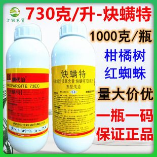 73%Ȳ�\�ؿ��\��Ȳ�M�؛Q�\�� ���٘�t֩�뚢�x�����\��1000��