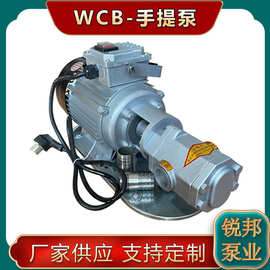 定制WCB手提泵不锈钢铸铁食品油输送泵汽柴油泵