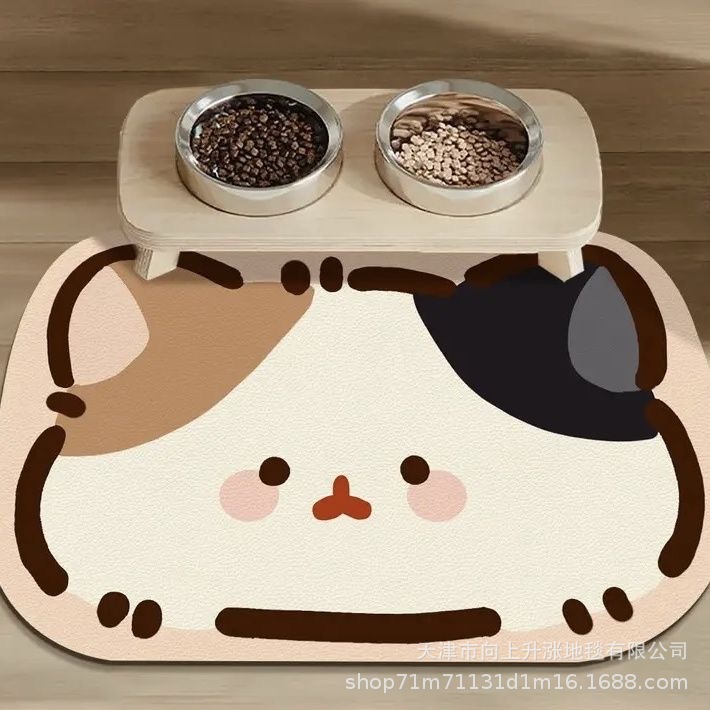 큰 얼굴을 가진 귀여운 흰 고양이